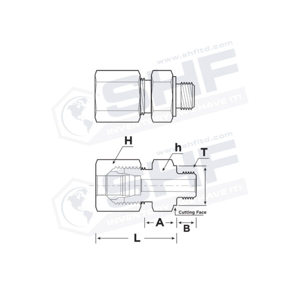 02_DMC-GM-DIN_Male_Connector_x_BSPP